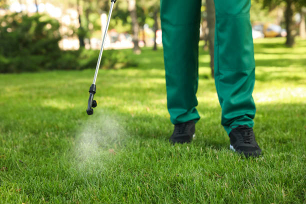 Best Bed Bug Extermination  in Central Park, WA