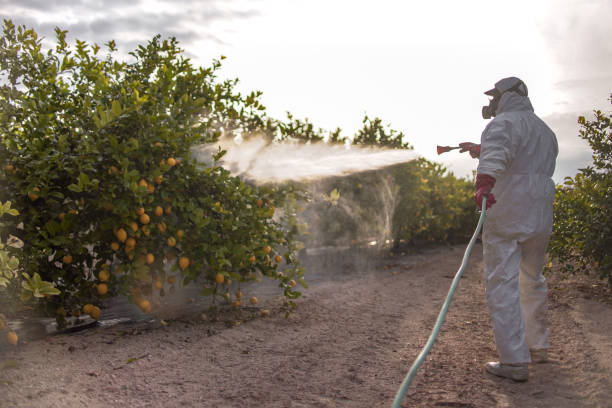 Pest Control for Restaurants in Central Park, WA