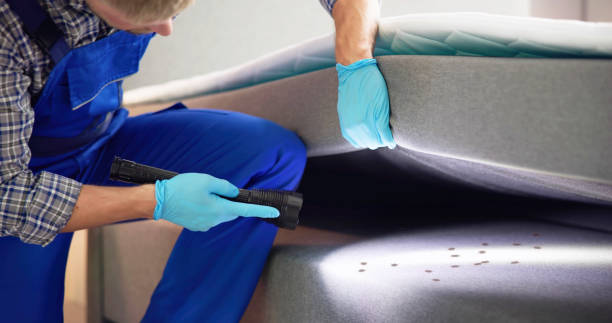 Best Wasp Removal Services  in Central Park, WA