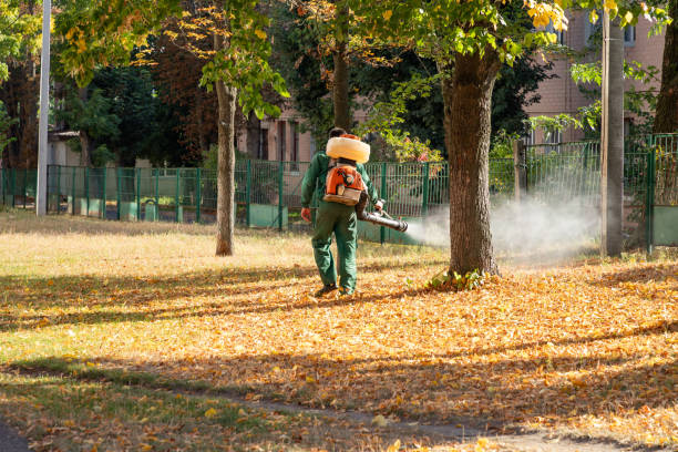 Best Cockroach Control Services  in Central Park, WA