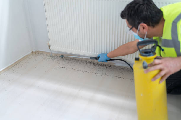 Best Affordable Pest Control Services  in Central Park, WA
